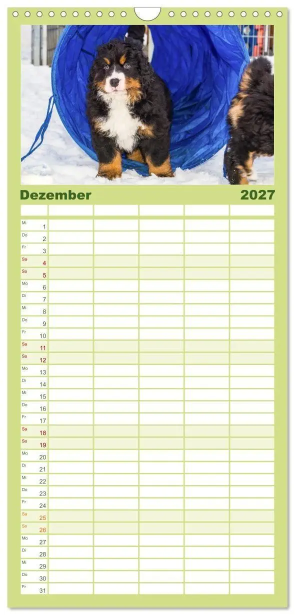 Bild: 9783594322796 | Familienplaner 2027 - Berner Sennenhund Welpen - Bezaubernde...