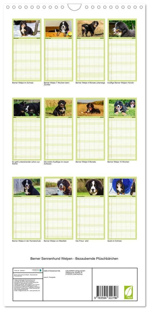 Bild: 9783594322796 | Familienplaner 2027 - Berner Sennenhund Welpen - Bezaubernde...