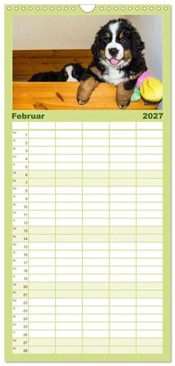Bild: 9783594322796 | Familienplaner 2027 - Berner Sennenhund Welpen - Bezaubernde...