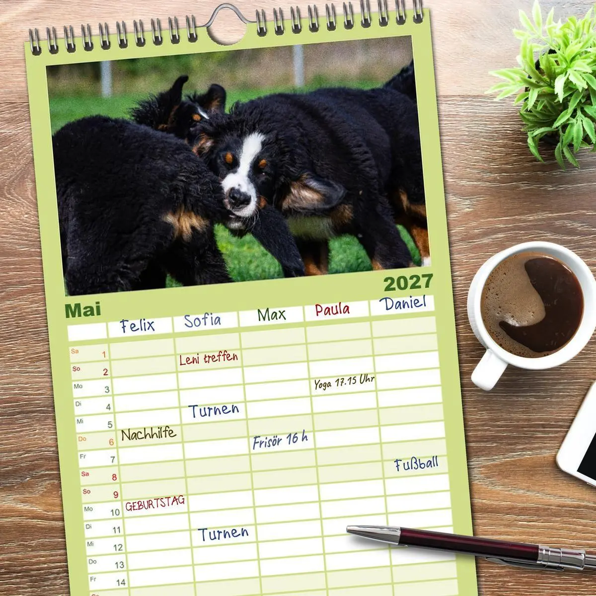 Bild: 9783594322796 | Familienplaner 2027 - Berner Sennenhund Welpen - Bezaubernde...