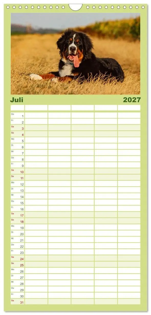 Bild: 9783594322796 | Familienplaner 2027 - Berner Sennenhund Welpen - Bezaubernde...
