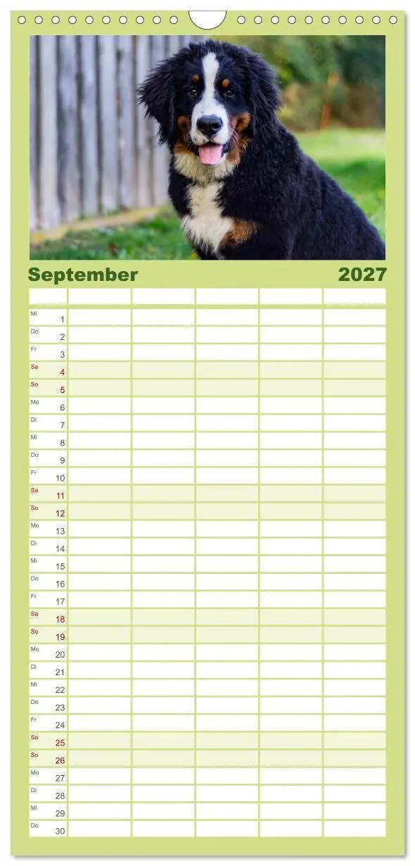Bild: 9783594322796 | Familienplaner 2027 - Berner Sennenhund Welpen - Bezaubernde...