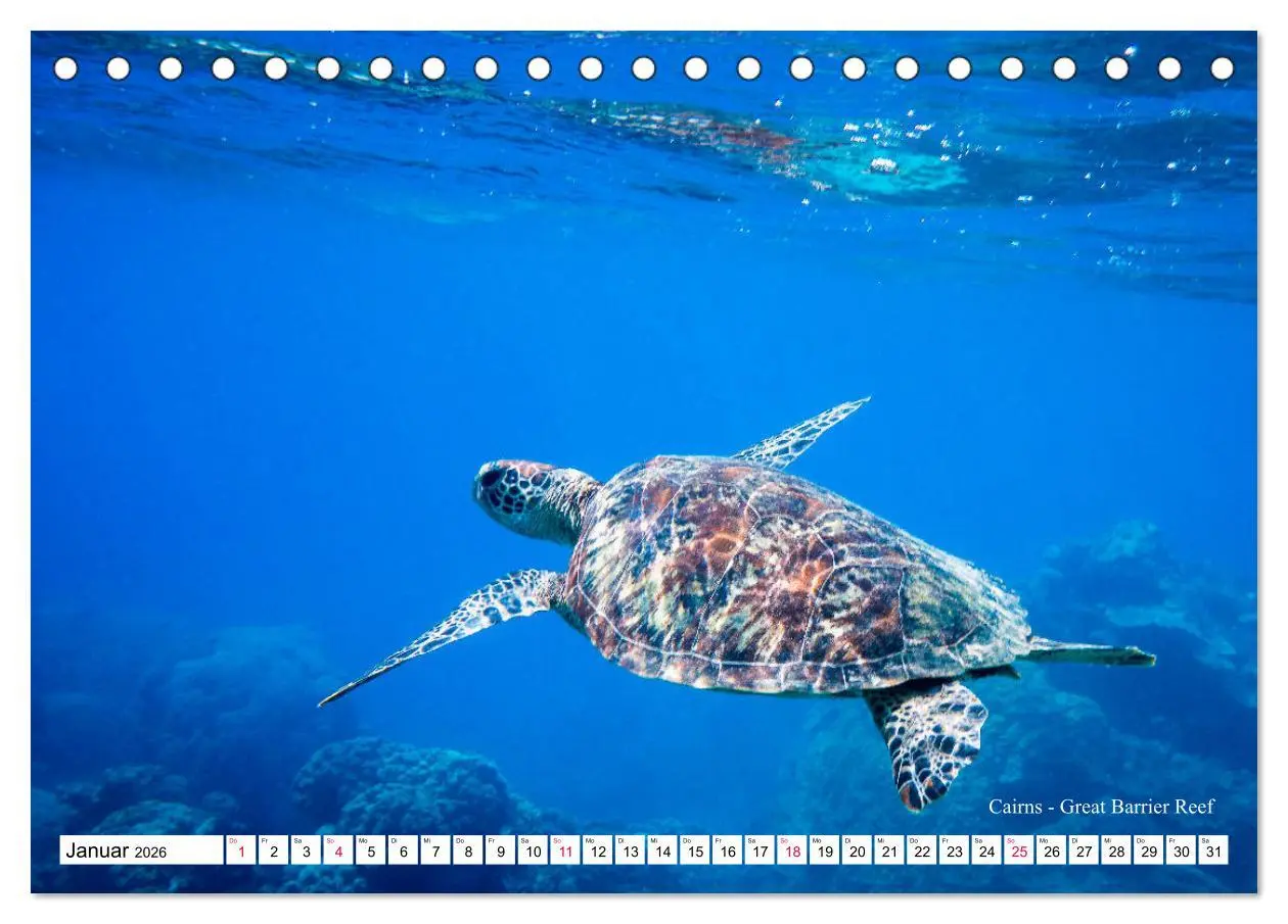 Bild: 9783457792896 | Australien Ostküste - von Cairns nach Sydney (Tischkalender 2026...