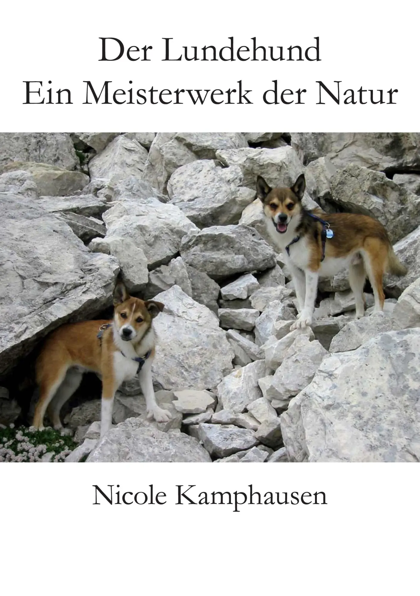 Der Lundehund: Ein Meisterwerk der Natur