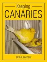 Cover: 9781847972996 | Keeping Canaries | Brian Keenan | Taschenbuch | Englisch | 2012