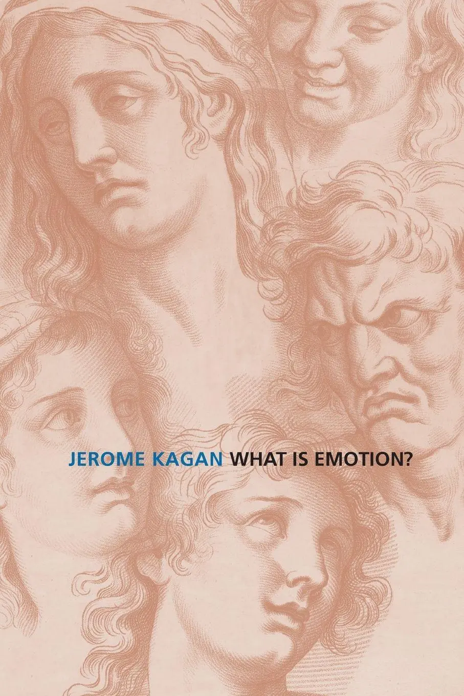 Cover: 9780300143096 | What Is Emotion? | History, Measures, and Meanings | Jerome Kagan
