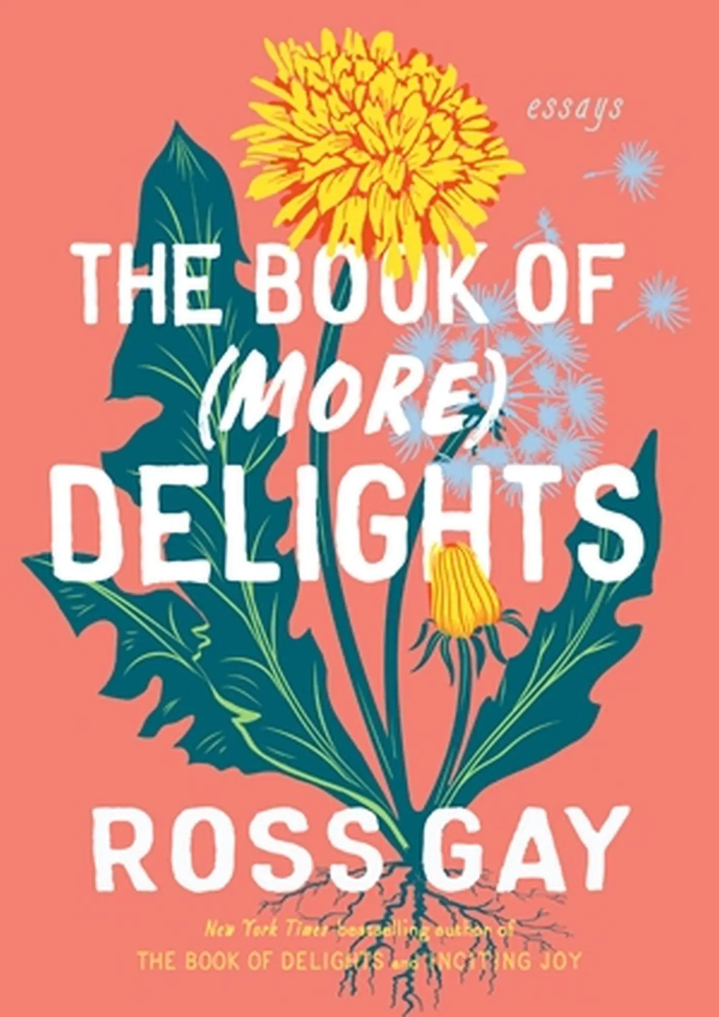 Cover: 9781643753096 | The Book of (More) Delights | Essays | Ross Gay | Buch | Gebunden