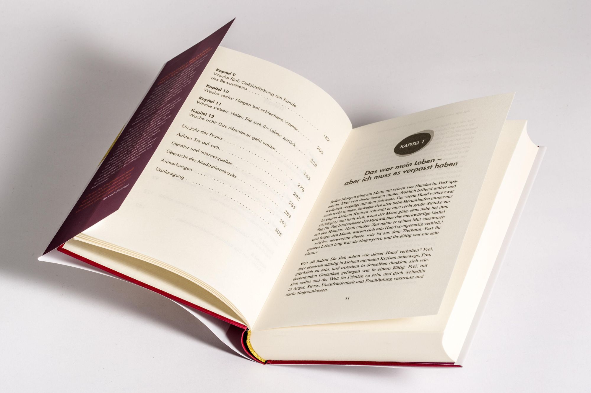 Bild: 9783442343096 | Das neue Achtsamkeitstraining | Mark Williams (u. a.) | Buch | 320 S.