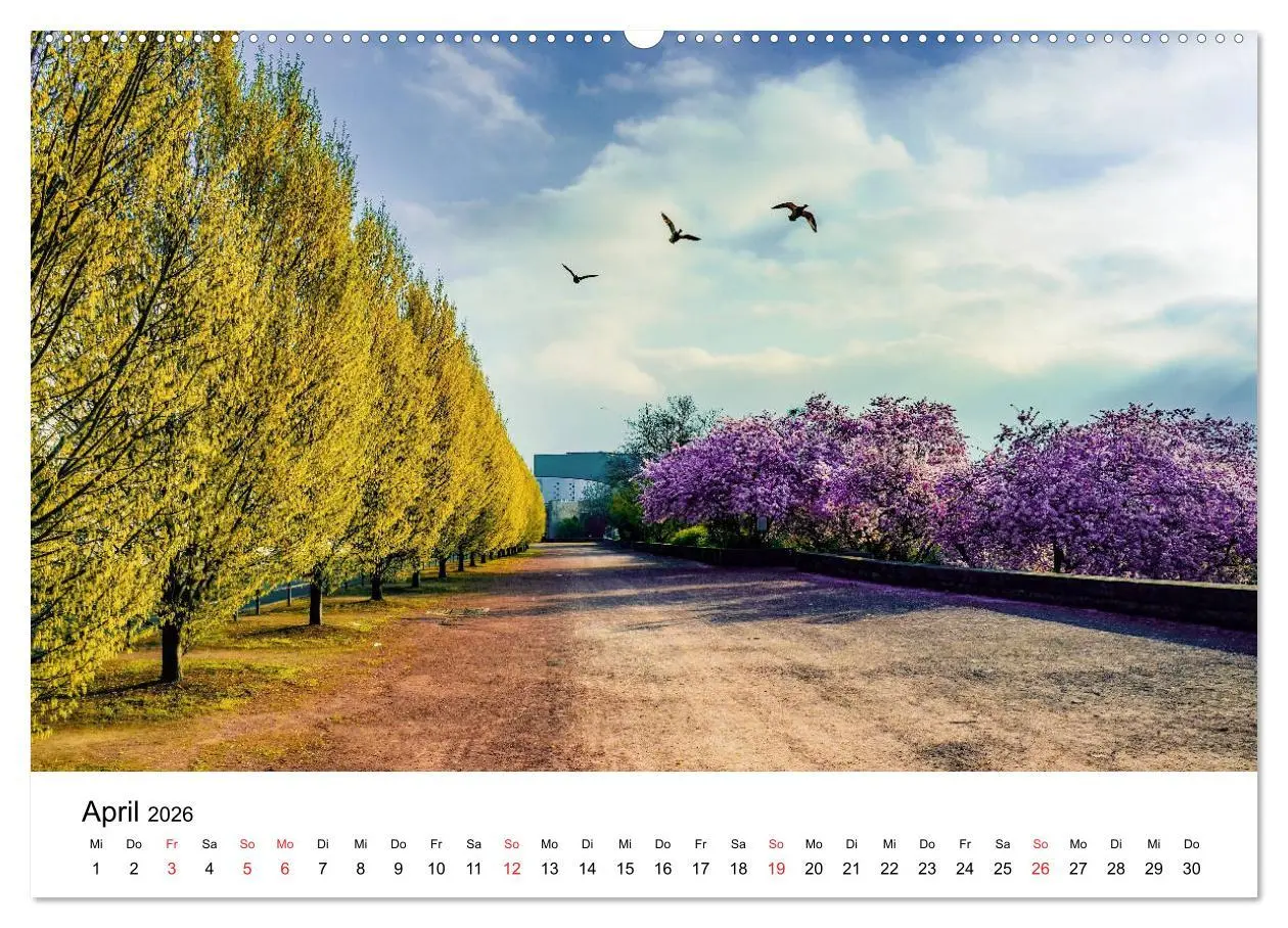 Bild: 9783457673096 | Kassel - Morgenlicht (hochwertiger Premium Wandkalender 2026 DIN A2...