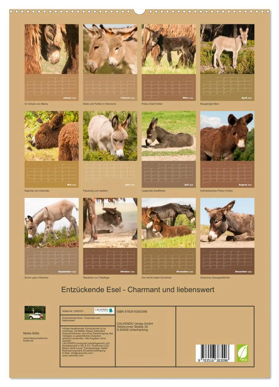 Bild: 9783516383096 | Entzückende Esel - Charmant und liebenswert (hochwertiger Premium...