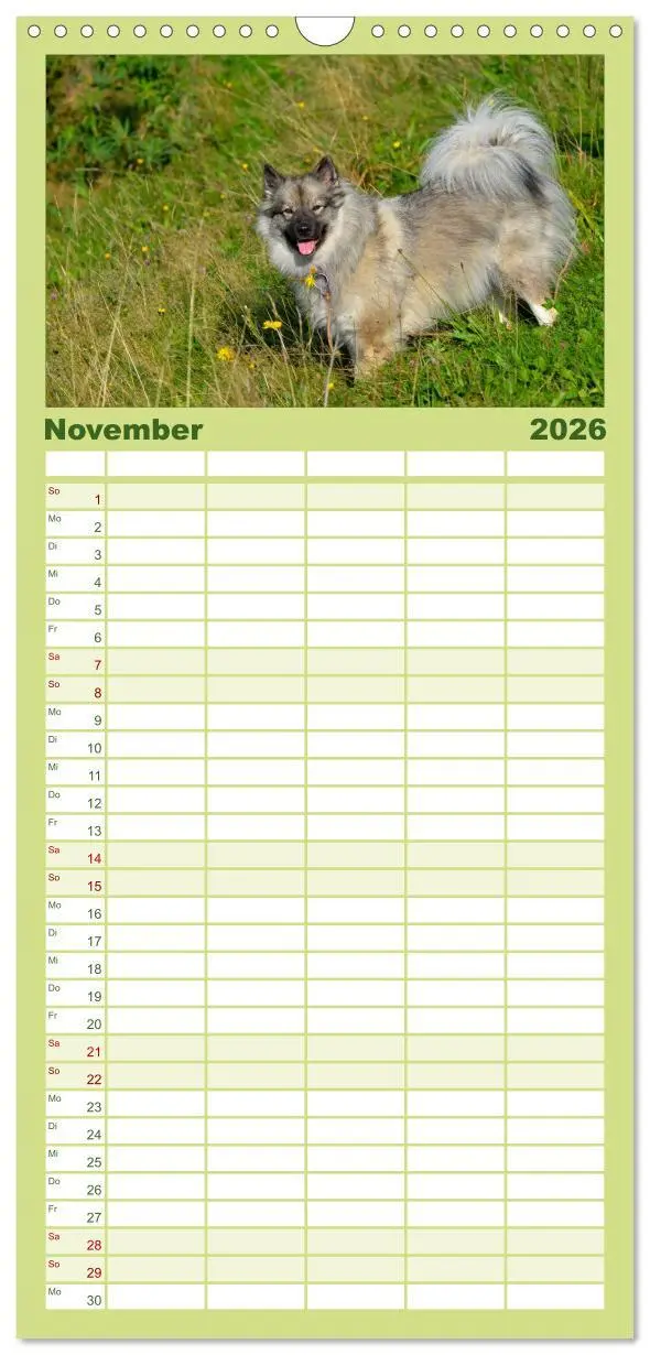 Bild: 9783516513196 | Familienplaner 2026 - Der Wolfsspitz mit 5 Spalten (Wandkalender,...