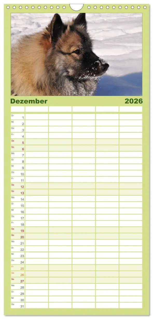 Bild: 9783516513196 | Familienplaner 2026 - Der Wolfsspitz mit 5 Spalten (Wandkalender,...