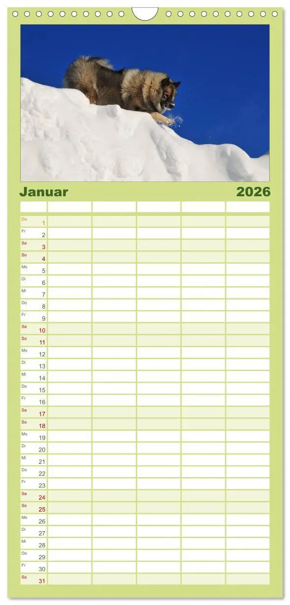 Bild: 9783516513196 | Familienplaner 2026 - Der Wolfsspitz mit 5 Spalten (Wandkalender,...