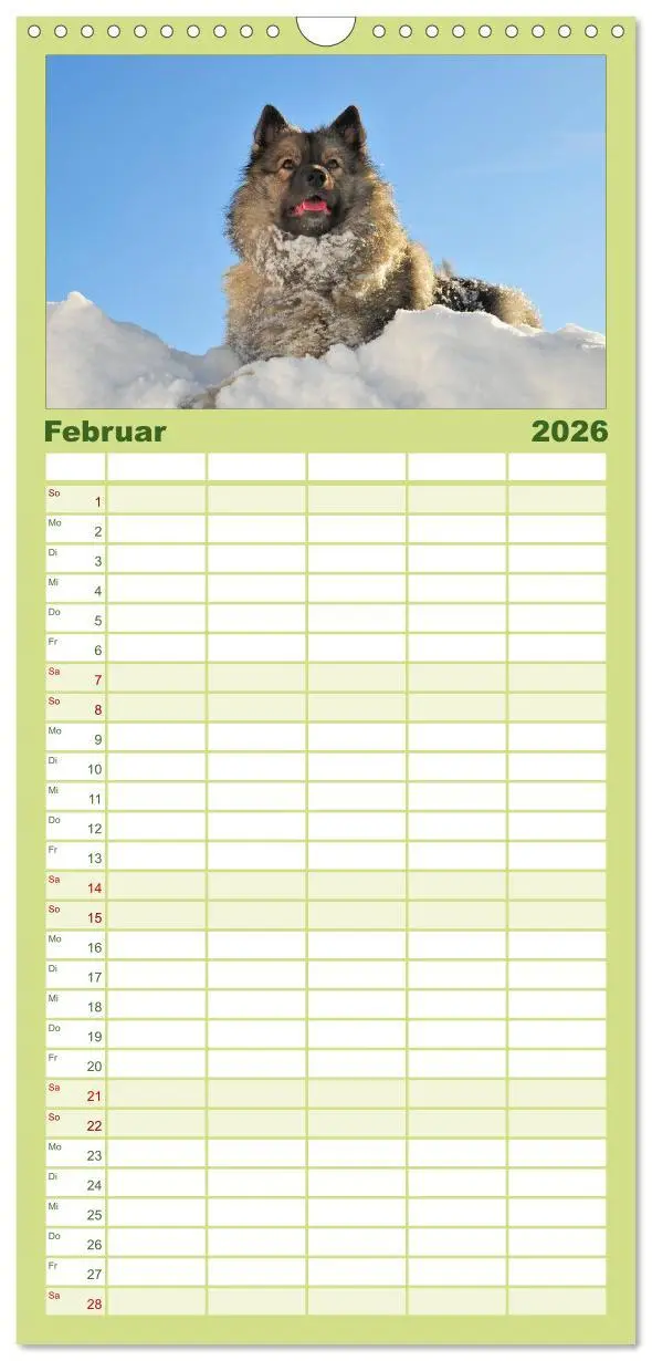 Bild: 9783516513196 | Familienplaner 2026 - Der Wolfsspitz mit 5 Spalten (Wandkalender,...