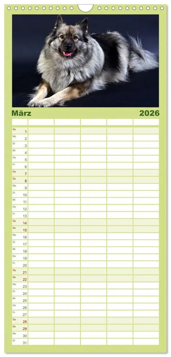 Bild: 9783516513196 | Familienplaner 2026 - Der Wolfsspitz mit 5 Spalten (Wandkalender,...