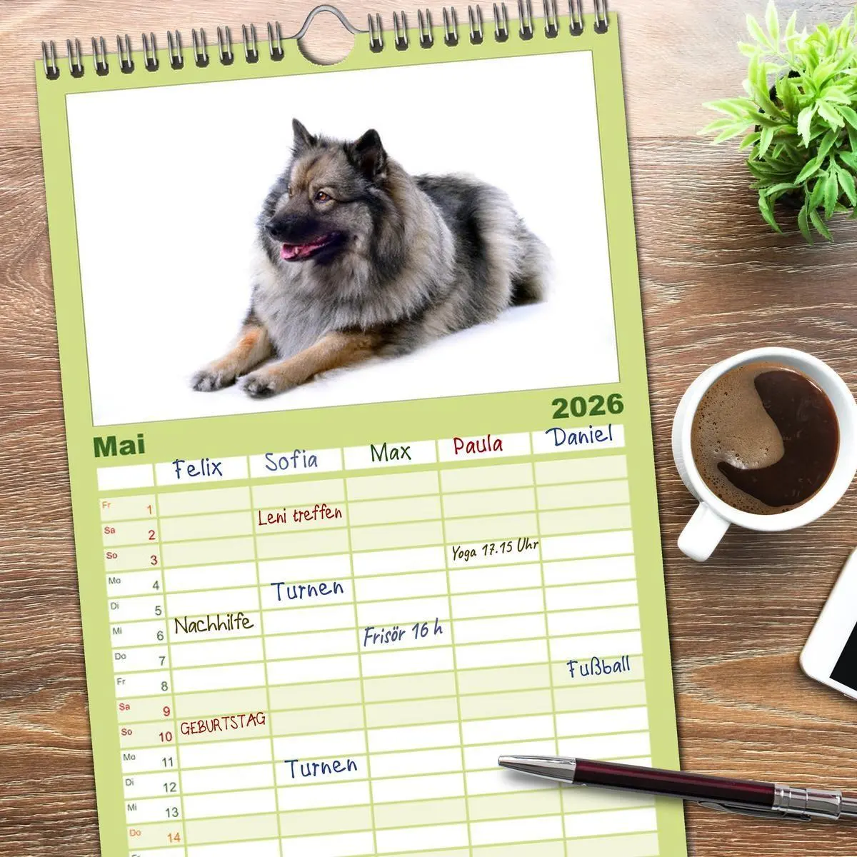 Bild: 9783516513196 | Familienplaner 2026 - Der Wolfsspitz mit 5 Spalten (Wandkalender,...