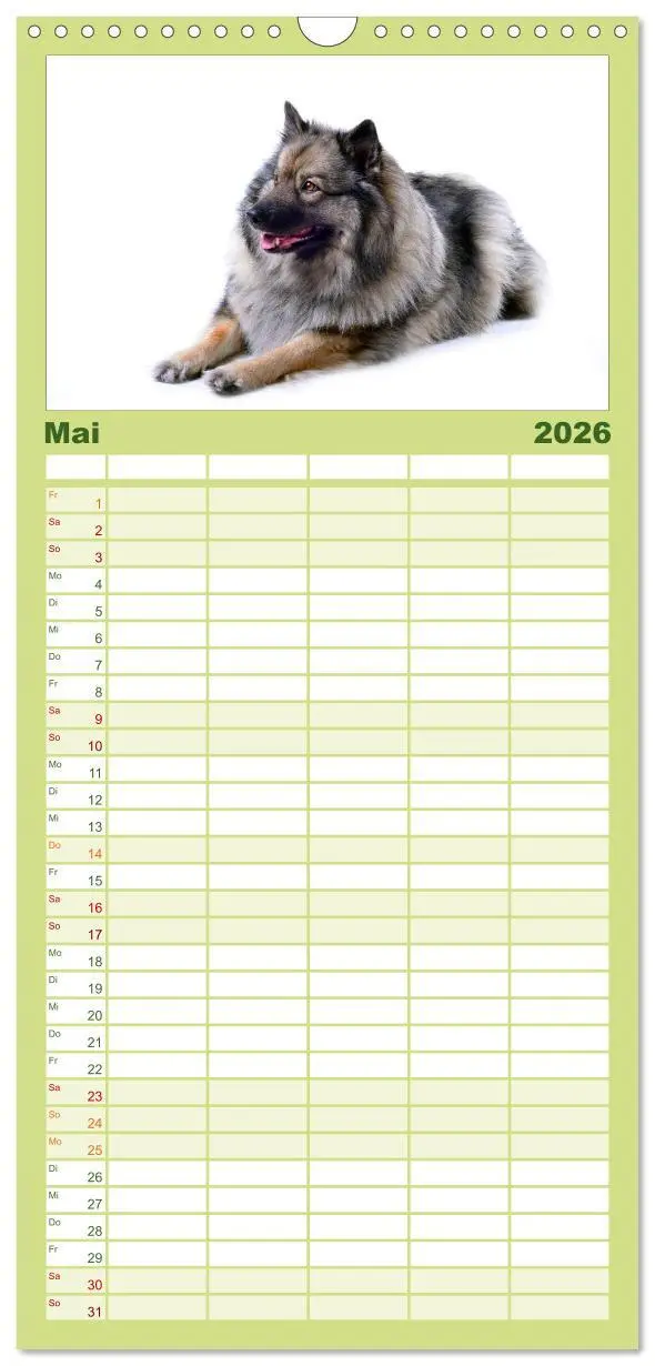 Bild: 9783516513196 | Familienplaner 2026 - Der Wolfsspitz mit 5 Spalten (Wandkalender,...