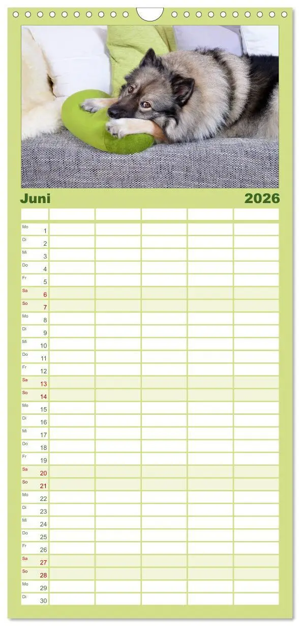 Bild: 9783516513196 | Familienplaner 2026 - Der Wolfsspitz mit 5 Spalten (Wandkalender,...