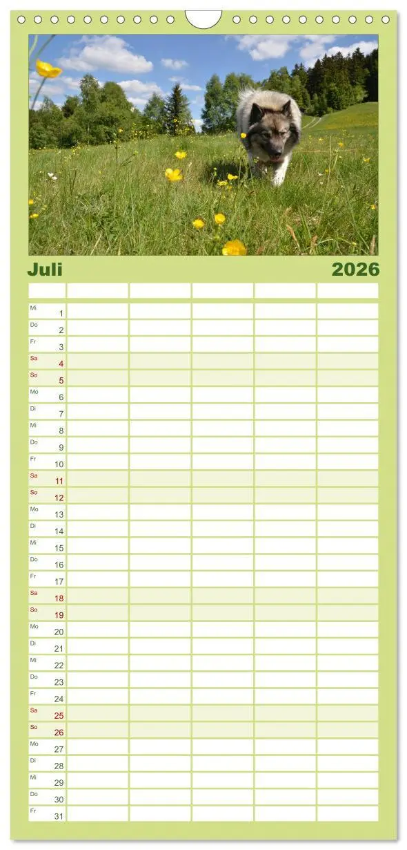 Bild: 9783516513196 | Familienplaner 2026 - Der Wolfsspitz mit 5 Spalten (Wandkalender,...