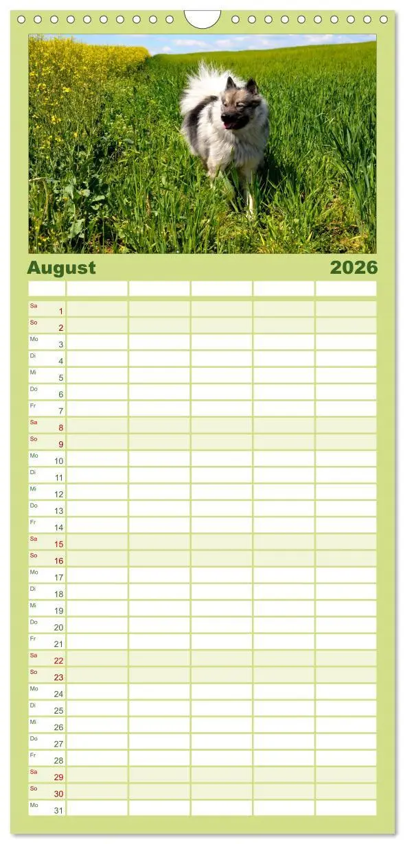 Bild: 9783516513196 | Familienplaner 2026 - Der Wolfsspitz mit 5 Spalten (Wandkalender,...