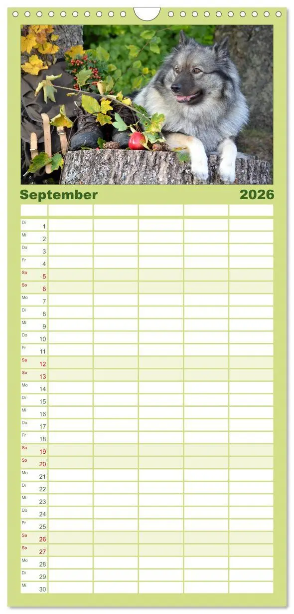 Bild: 9783516513196 | Familienplaner 2026 - Der Wolfsspitz mit 5 Spalten (Wandkalender,...