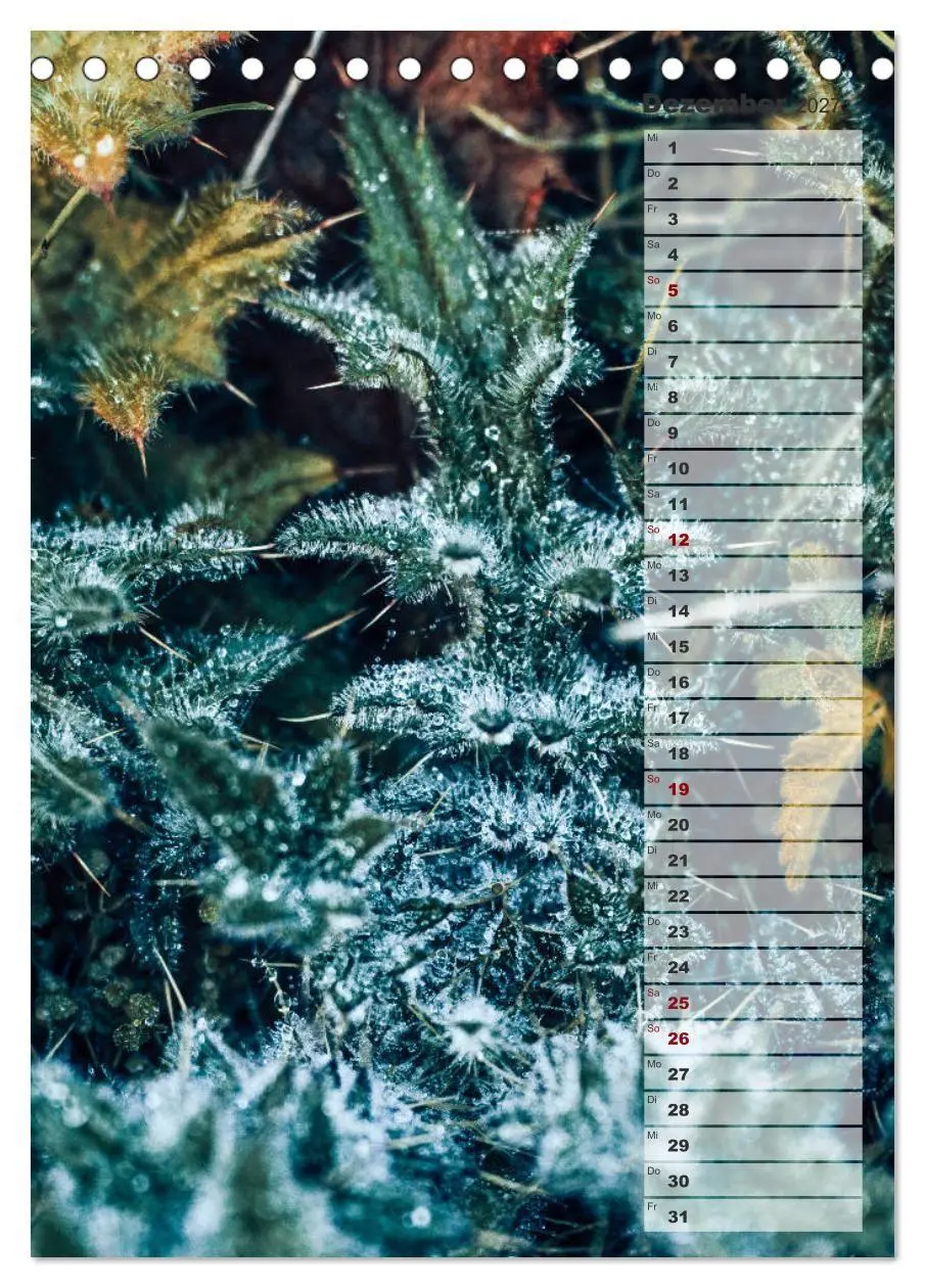 Bild: 9783569603196 | Kalender - Natur im Detail (Tischkalender 2027 DIN A5 hoch),...