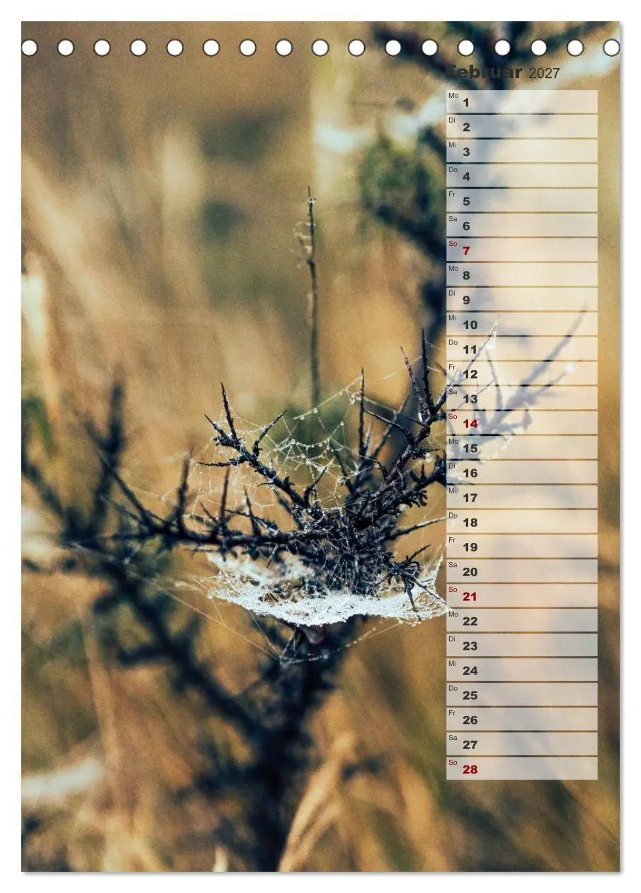 Bild: 9783569603196 | Kalender - Natur im Detail (Tischkalender 2027 DIN A5 hoch),...