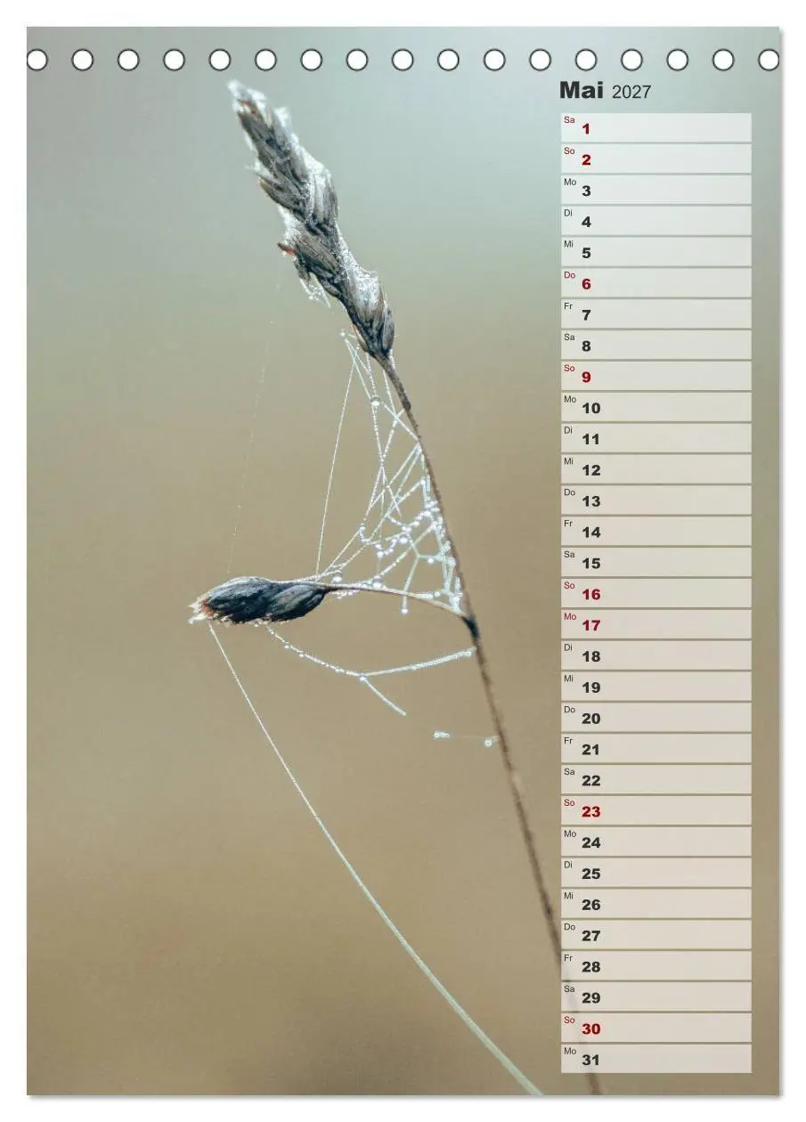 Bild: 9783569603196 | Kalender - Natur im Detail (Tischkalender 2027 DIN A5 hoch),...