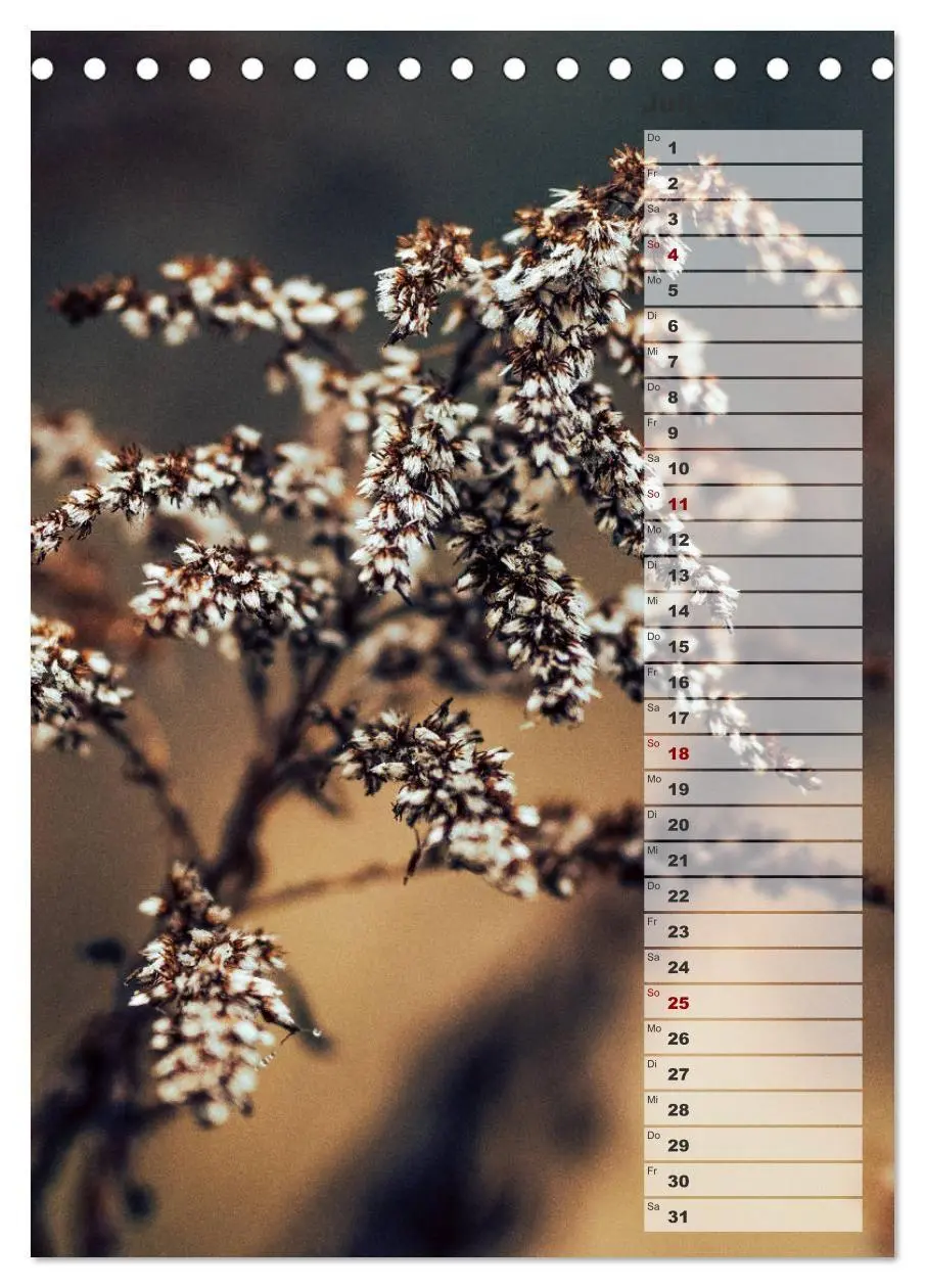 Bild: 9783569603196 | Kalender - Natur im Detail (Tischkalender 2027 DIN A5 hoch),...