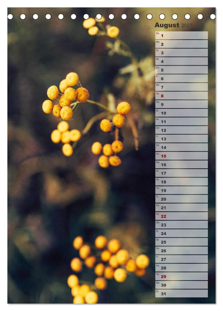 Bild: 9783569603196 | Kalender - Natur im Detail (Tischkalender 2027 DIN A5 hoch),...