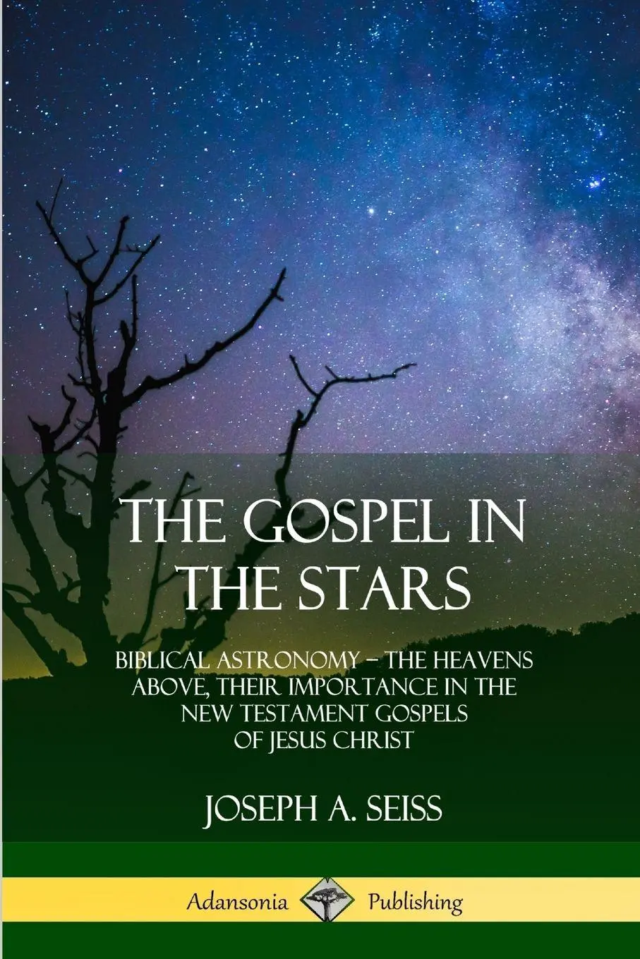 Cover: 9780359013296 | The Gospel in the Stars | Joseph A. Seiss | Taschenbuch | Englisch