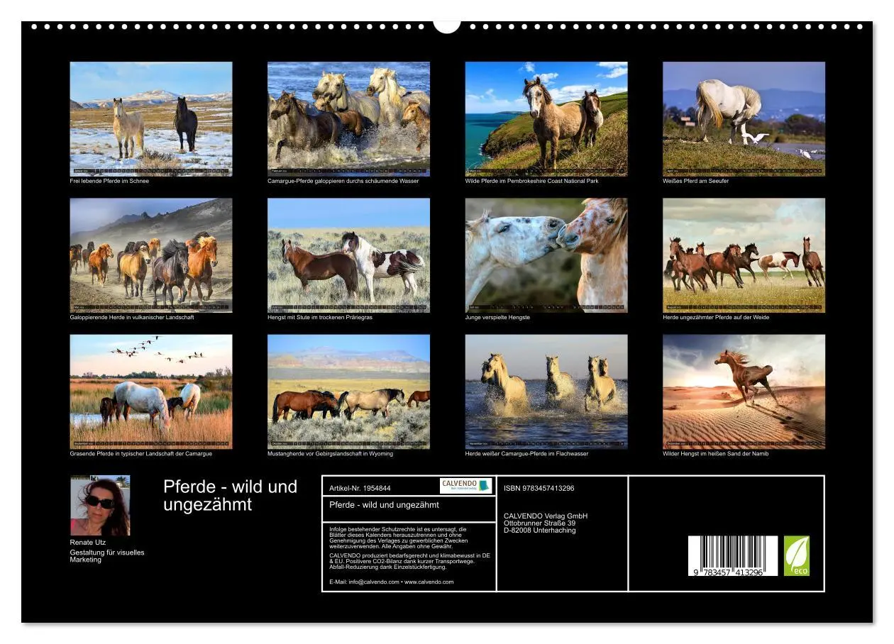 Bild: 9783457413296 | Pferde - wild und ungezähmt (hochwertiger Premium Wandkalender 2026...