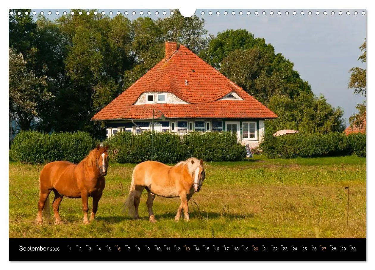 Bild: 9783516053296 | Sehnsucht Hiddensee 2026 (Wandkalender 2026 DIN A3 quer), CALVENDO...