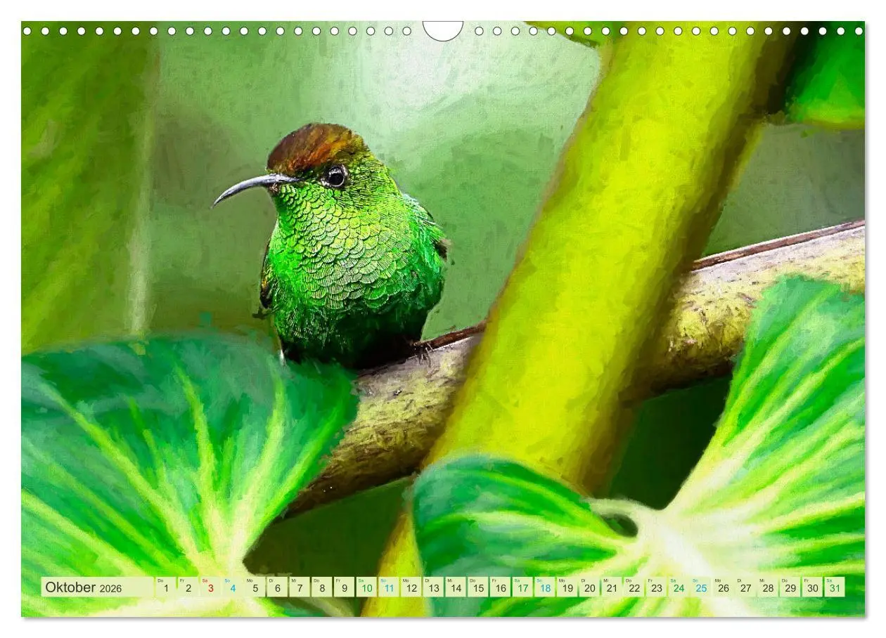 Bild: 9783457573396 | Hallo Dschungel - Artwork (Wandkalender 2026 DIN A3 quer), CALVENDO...