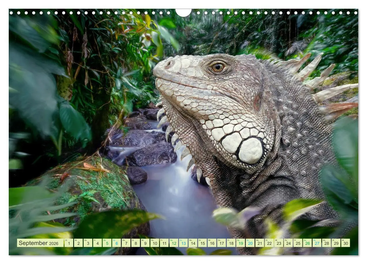 Bild: 9783457573396 | Hallo Dschungel - Artwork (Wandkalender 2026 DIN A3 quer), CALVENDO...