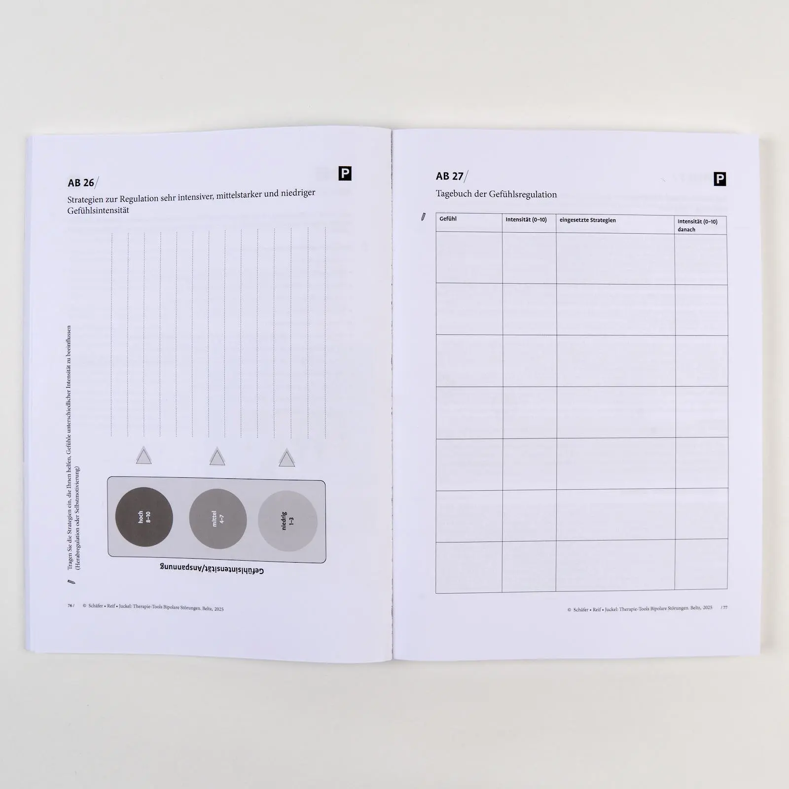 Bild: 9783621293396 | Therapie-Tools Bipolare Störungen | Mit Online-Material | Taschenbuch