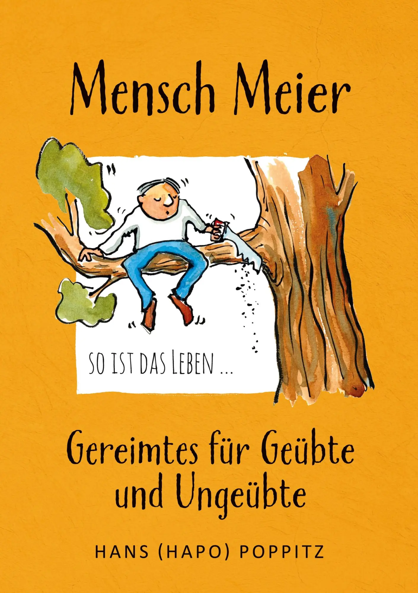 Cover: 9783756863396 | Mensch Meier so ist das Leben ... | Gereimtes für Geübte und Ungeübte