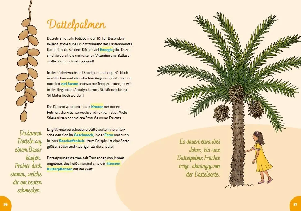 Bild: 9783946323396 | Türkei for kids | Der Kinderreiseführer | Ilayda Durmu¿ | Taschenbuch