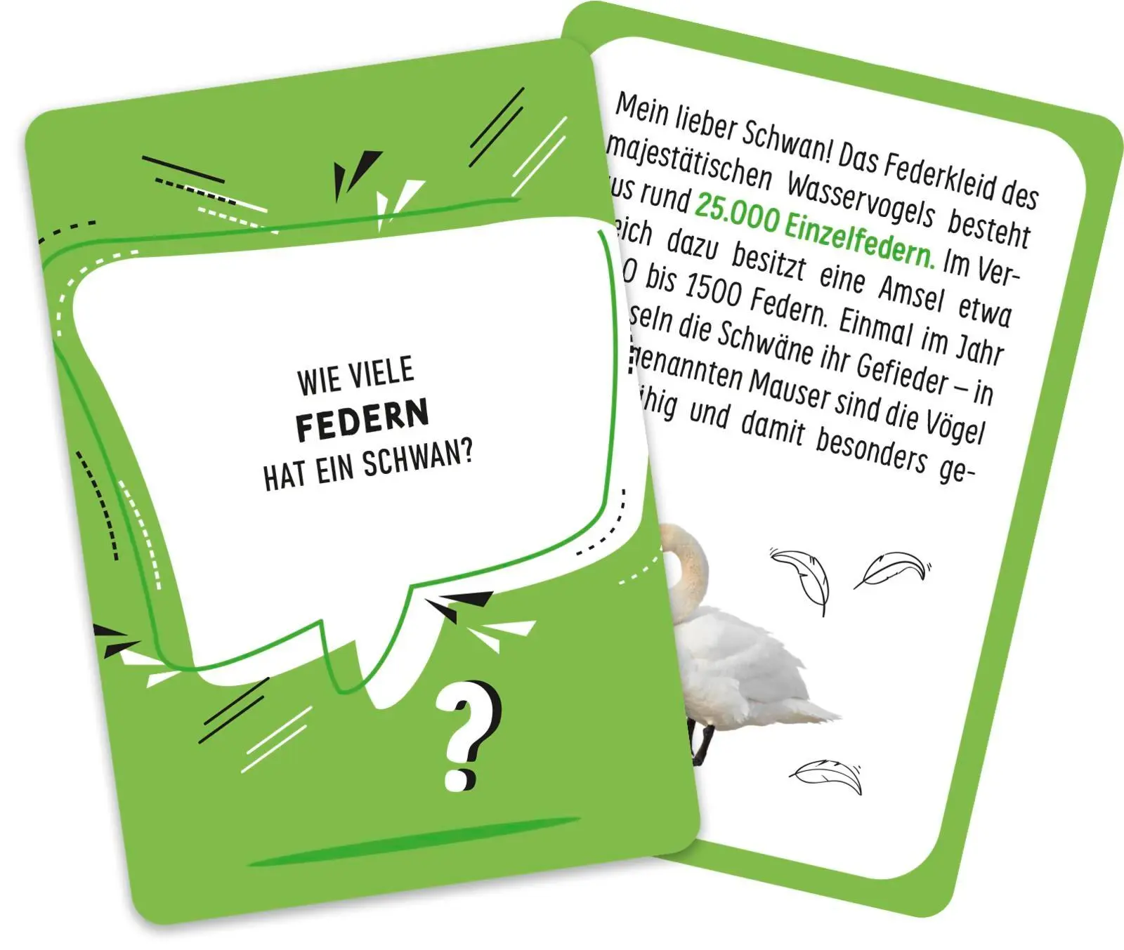 Bild: 4036442013496 | Was schätzt du? - Verrückte Welt | Marianne Huber | Spiel | Schachtel