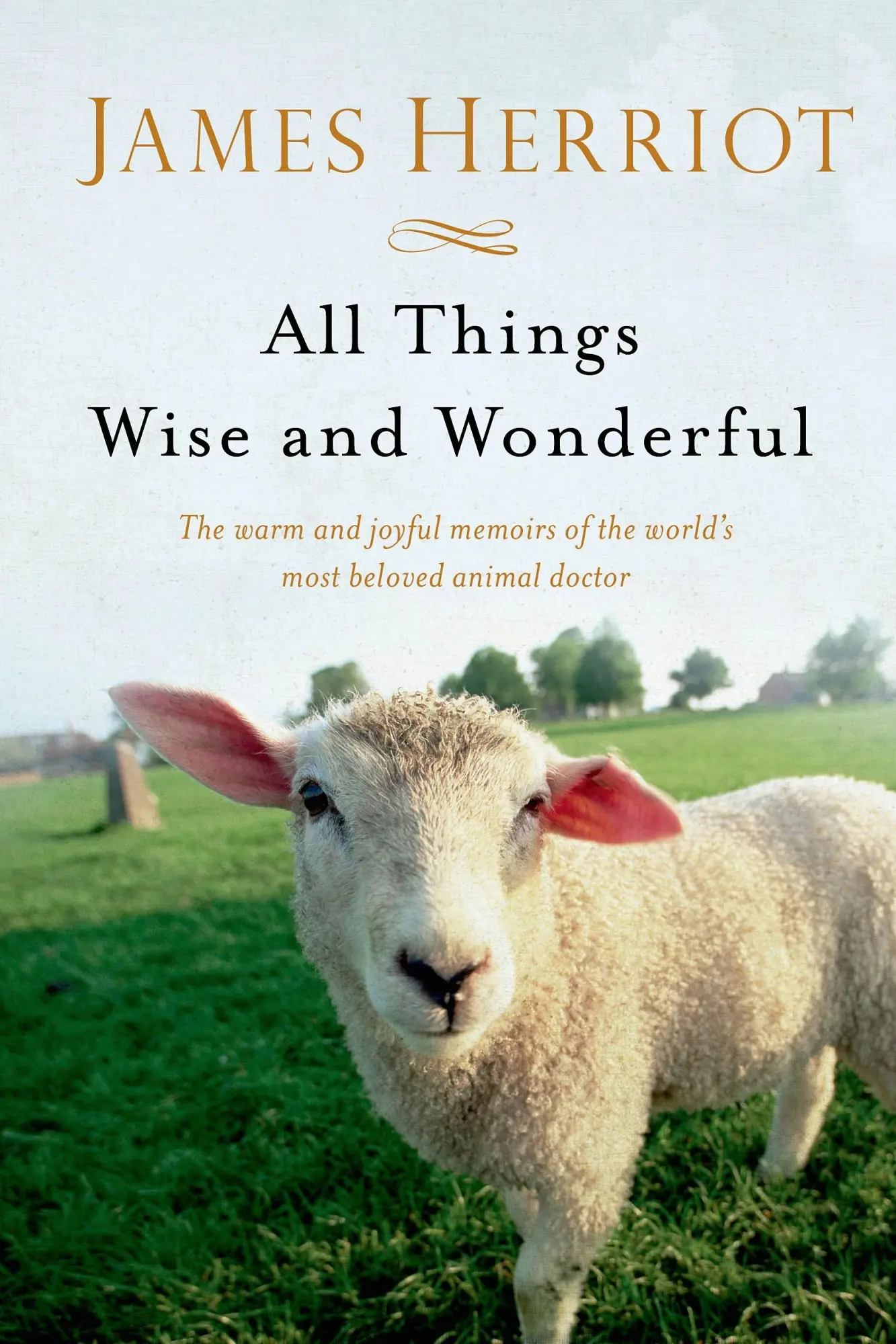 Cover: 9781250063496 | All Things Wise and Wonderful | James Herriot | Taschenbuch | Englisch