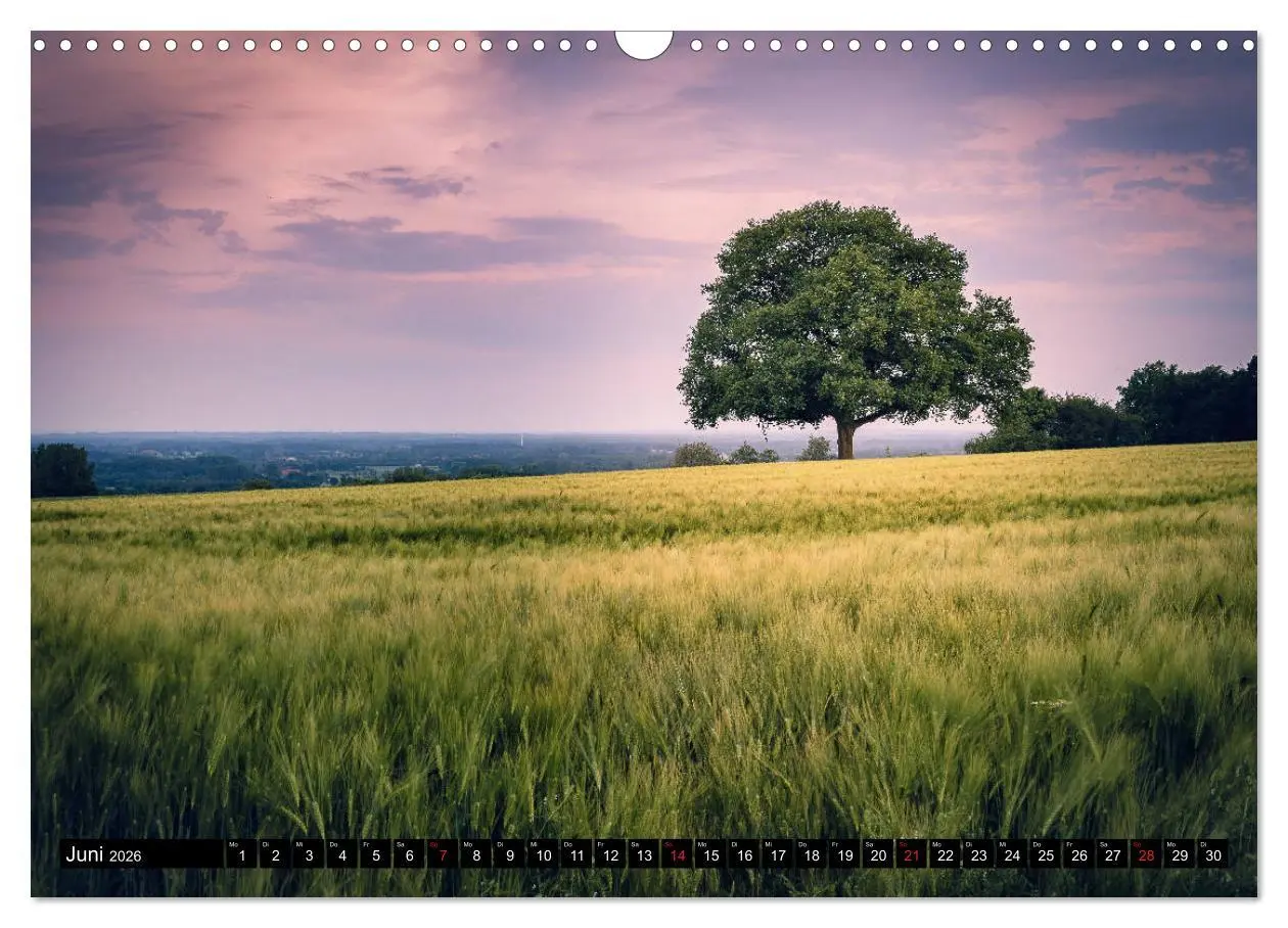 Bild: 9783457703496 | Das Münsterland - Meine Impressionen (Wandkalender 2026 DIN A3...
