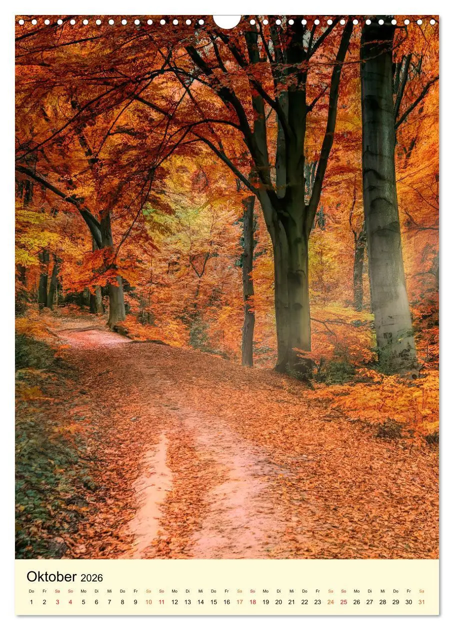Bild: 9783516343496 | Abenteuer Nationalpark in Deutschland (Wandkalender 2026 DIN A3...