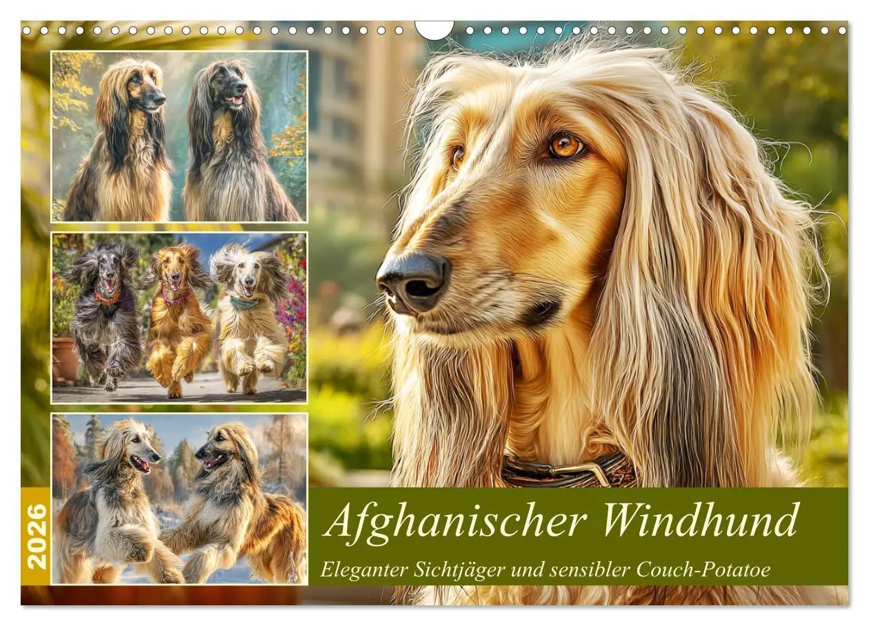 Cover: 9783516583496 | Afghanischer Windhund. Eleganter Sichtjäger und sensibler...