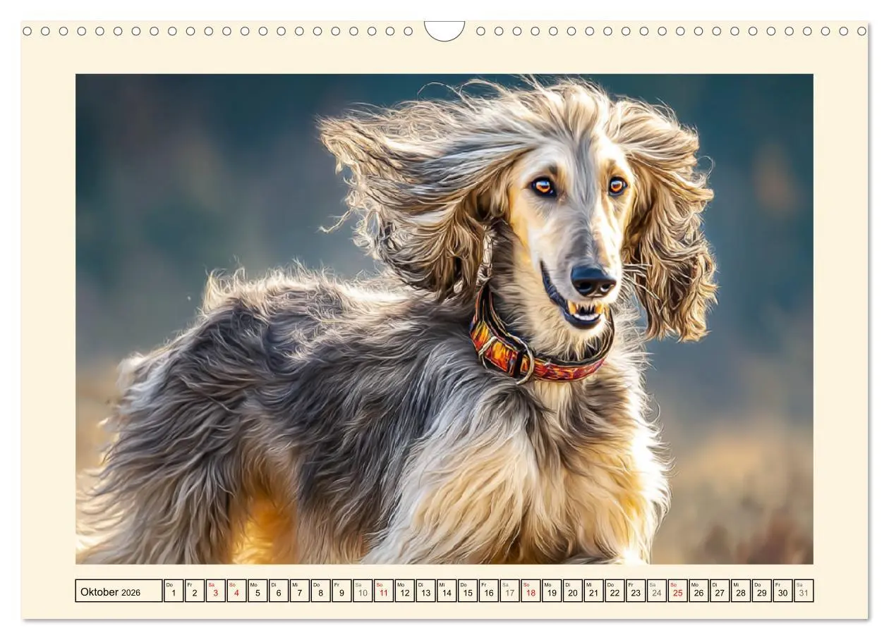 Bild: 9783516583496 | Afghanischer Windhund. Eleganter Sichtjäger und sensibler...