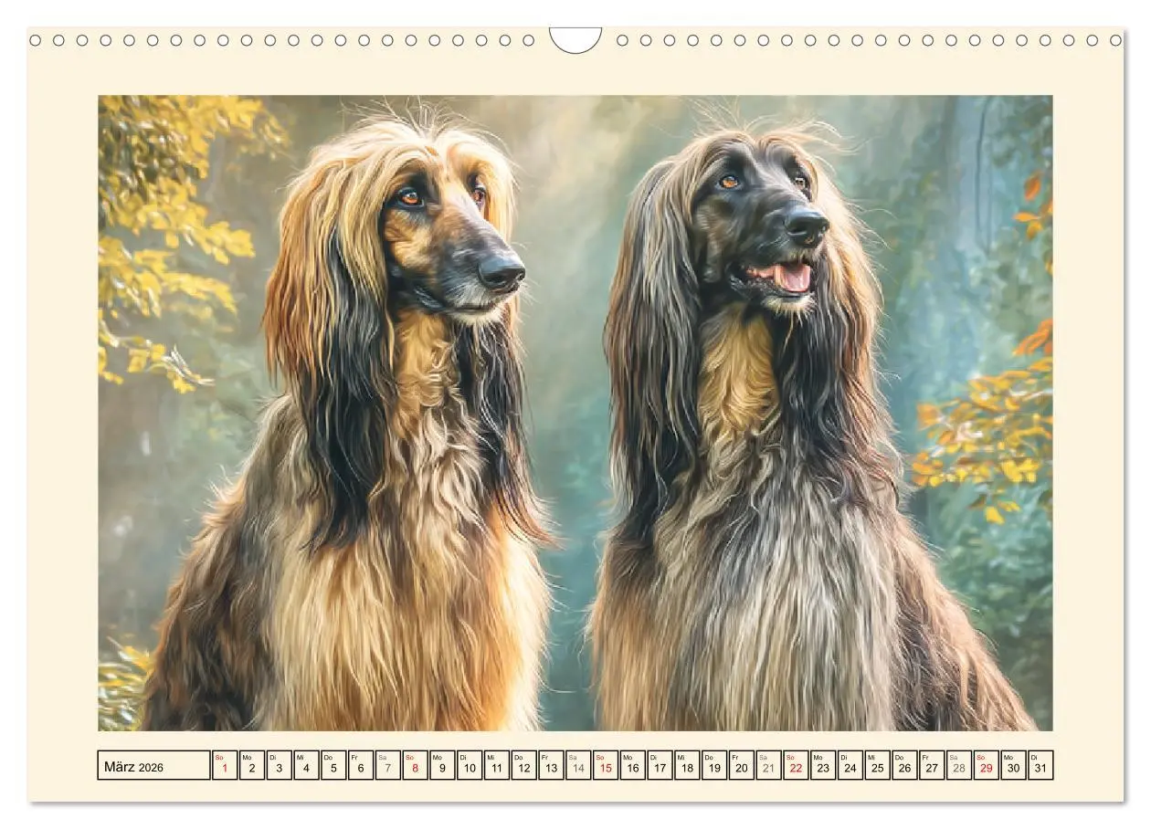Bild: 9783516583496 | Afghanischer Windhund. Eleganter Sichtjäger und sensibler...