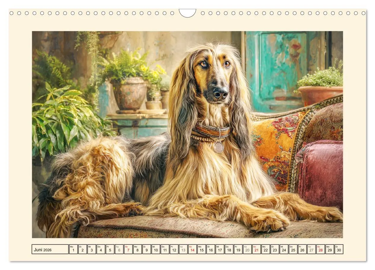 Bild: 9783516583496 | Afghanischer Windhund. Eleganter Sichtjäger und sensibler...