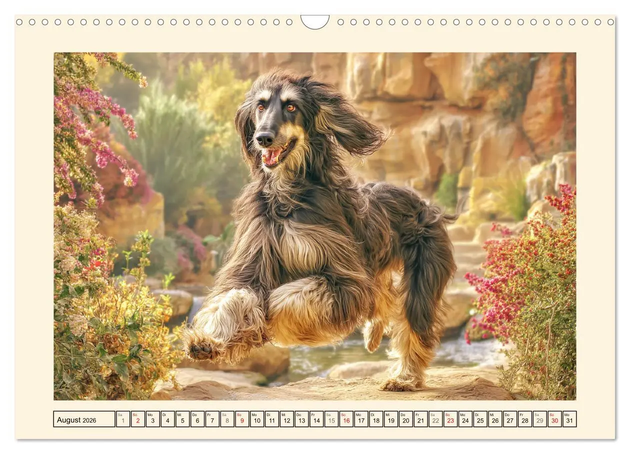 Bild: 9783516583496 | Afghanischer Windhund. Eleganter Sichtjäger und sensibler...