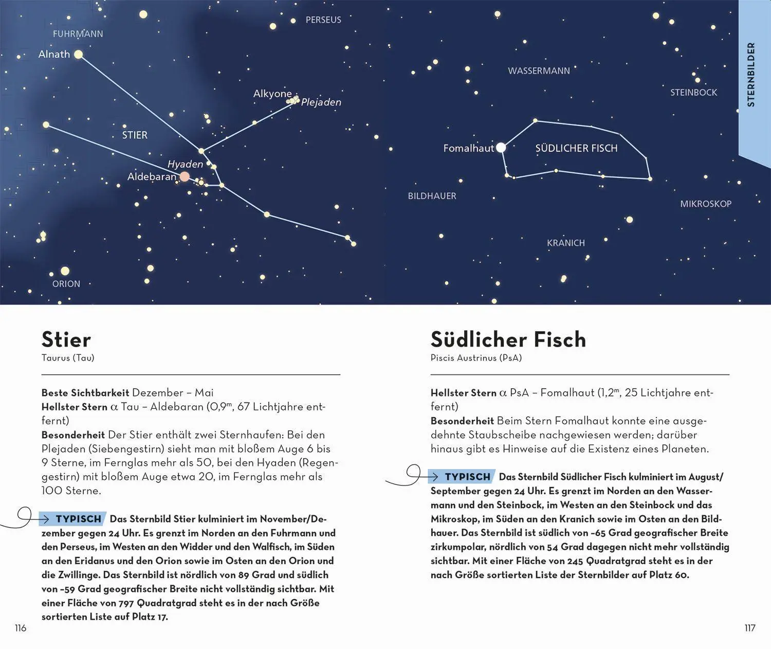 Bild: 9783440173596 | Basic Sternbilder | Hermann-Michael Hahn | Taschenbuch | 128 S. | 2022