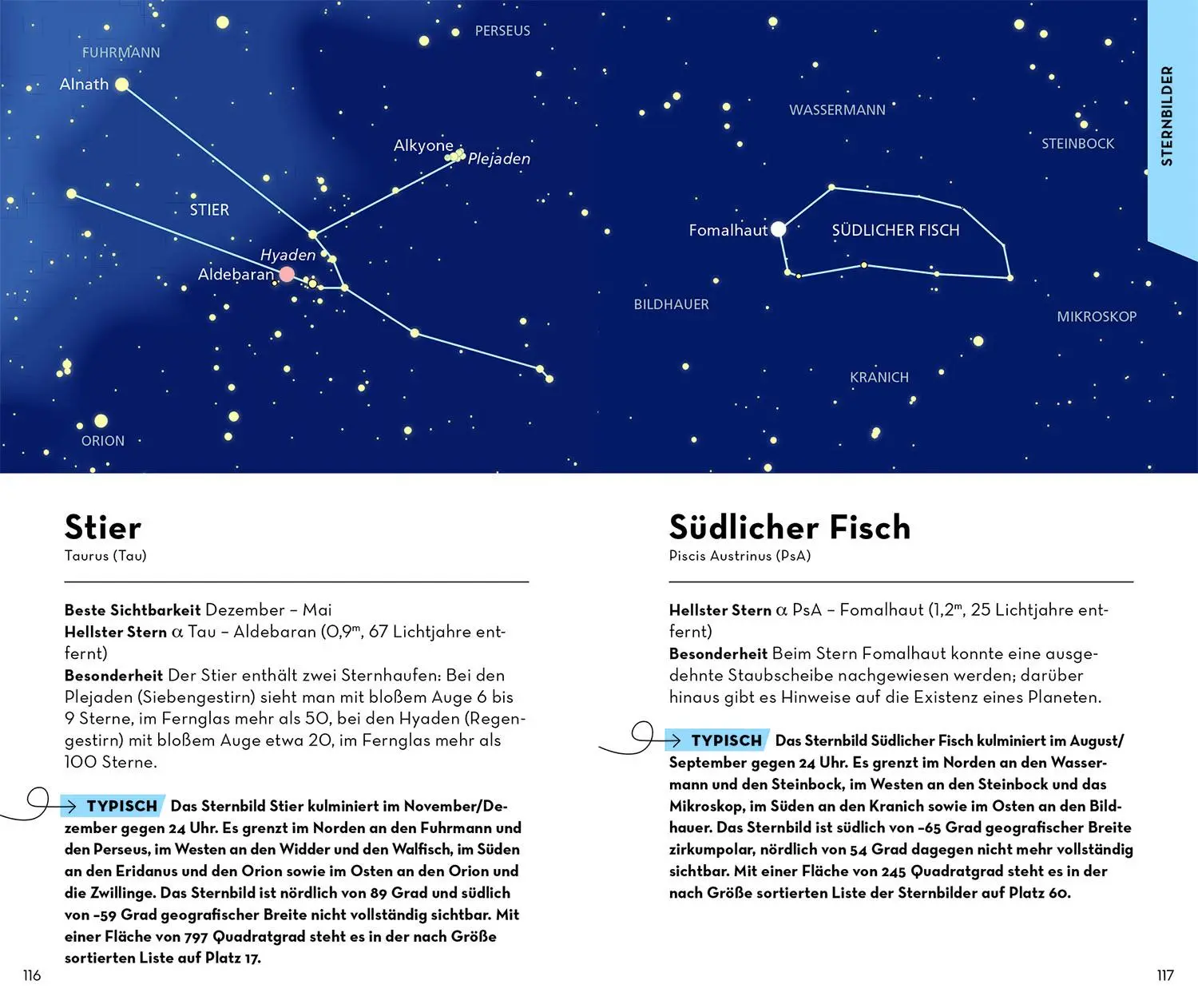 Bild: 9783440173596 | Basic Sternbilder | Hermann-Michael Hahn | Taschenbuch | 128 S. | 2022