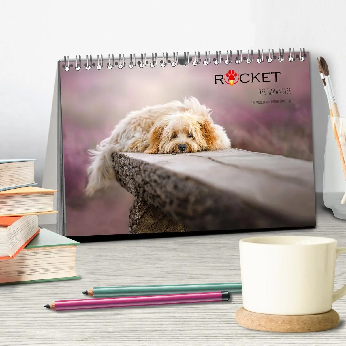 Bild: 9783457623596 | Rocket der Havaneser (Tischkalender 2026 DIN A5 quer), CALVENDO...